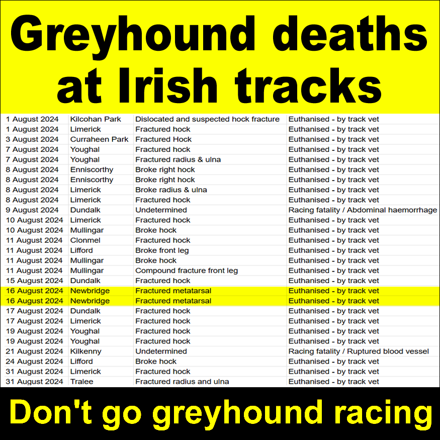 banbloodsports's tweet photo. On this day last year, 2 greyhounds were killed at #Newbridge track after suffering fractured metatarsals in races https://t.co/xd0irAthaq #YouBetTheyDie Don't go greyhound racing https://t.co/KvrBNHlFNg