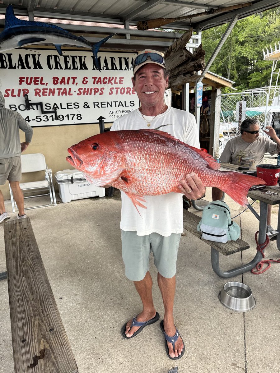 Nice red snapper caught today by the River Rat