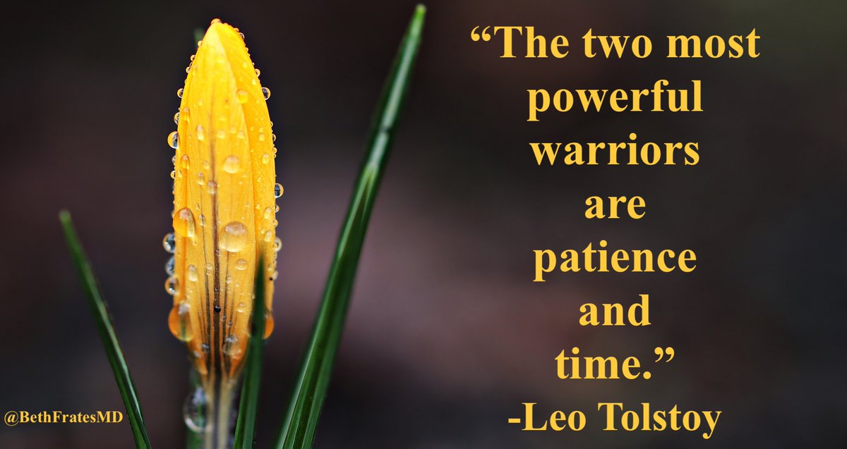 BethFratesMD's tweet image. Patience and Time are Key! 🌼
#SaturdayFeeling #SaturdayVibes