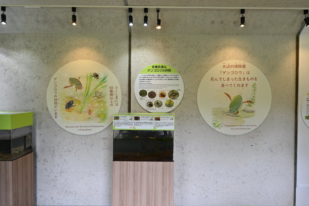新展示エリア、しっかりゲンゴロウ推しなのもさすが。（いなわしろを感じる）
#アクアマリンふくしま
#わくわくはじまりの森