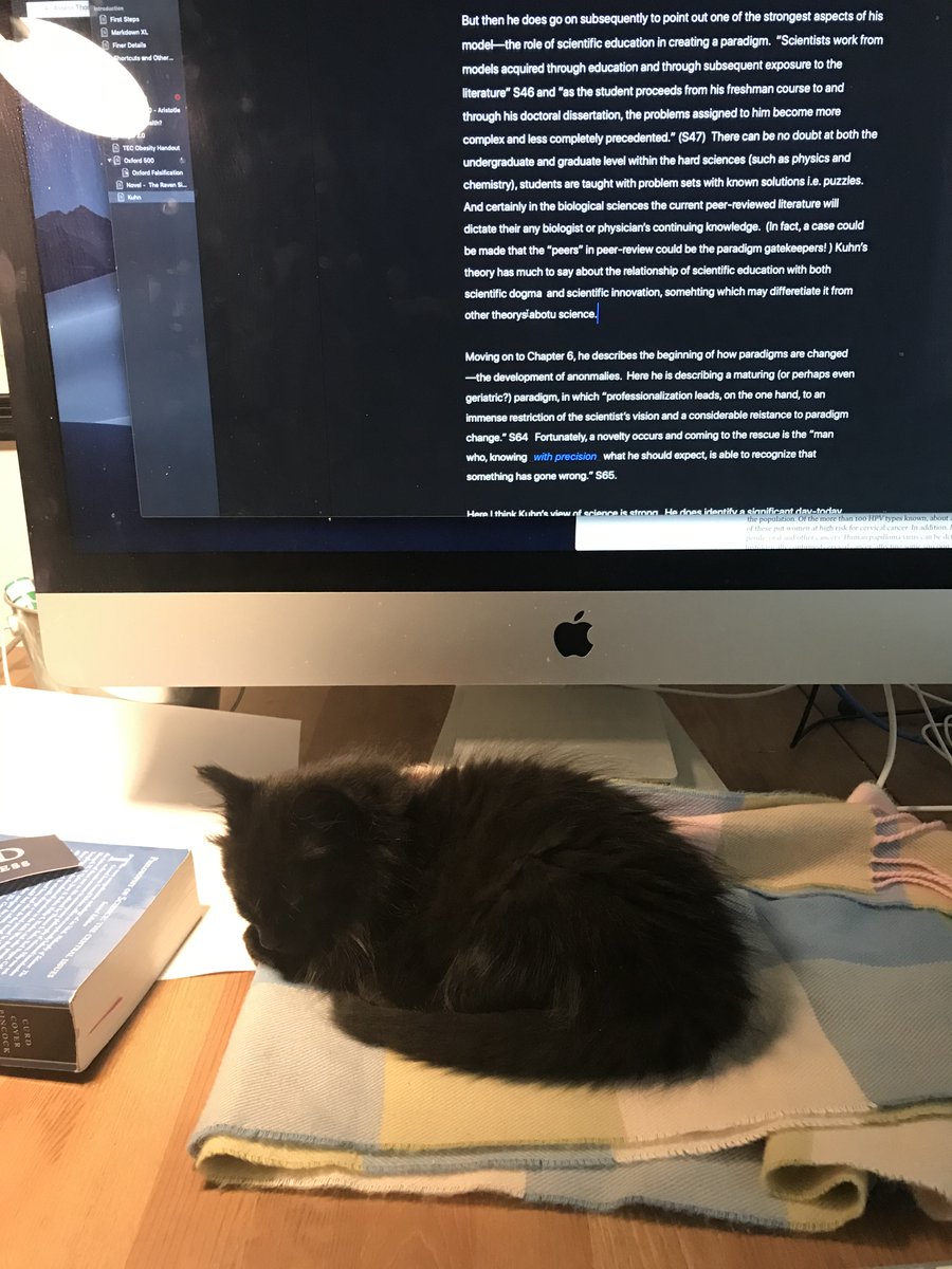 MatthewRehrl's tweet image. Was reminded this a.m. about the importance of animals in our lives: Attached are a few photos of my cat Roo, from his first day home from Seattle Humane to this majestic being.
Cats 🐈⬛, horses 🐎 (and yes, maybe even dogs 🐕😉) are all I need to know that God exists.