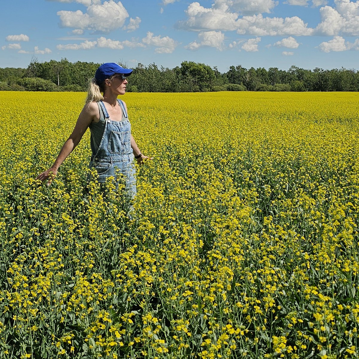 Have you taken your annual,  standing in the canola pics? 
Let's see em'! 💛
