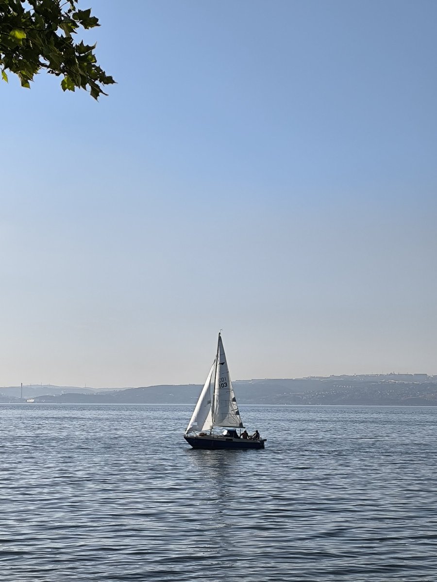 Mustafa48556141's tweet photo. Life is a silent sailboat going from one point to another... The wind is your rudder. https://t.co/XmjF6mLk7q