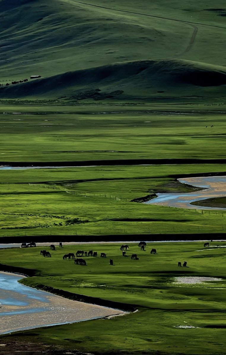 Өглөөний мэнд, амар амгалантай өдөр байг ээ.