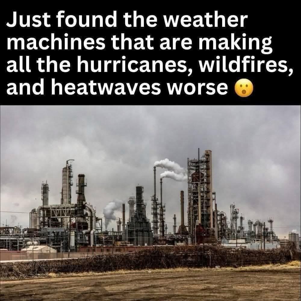 Extinction Rebellion Global (@extinctionr) on Twitter photo 