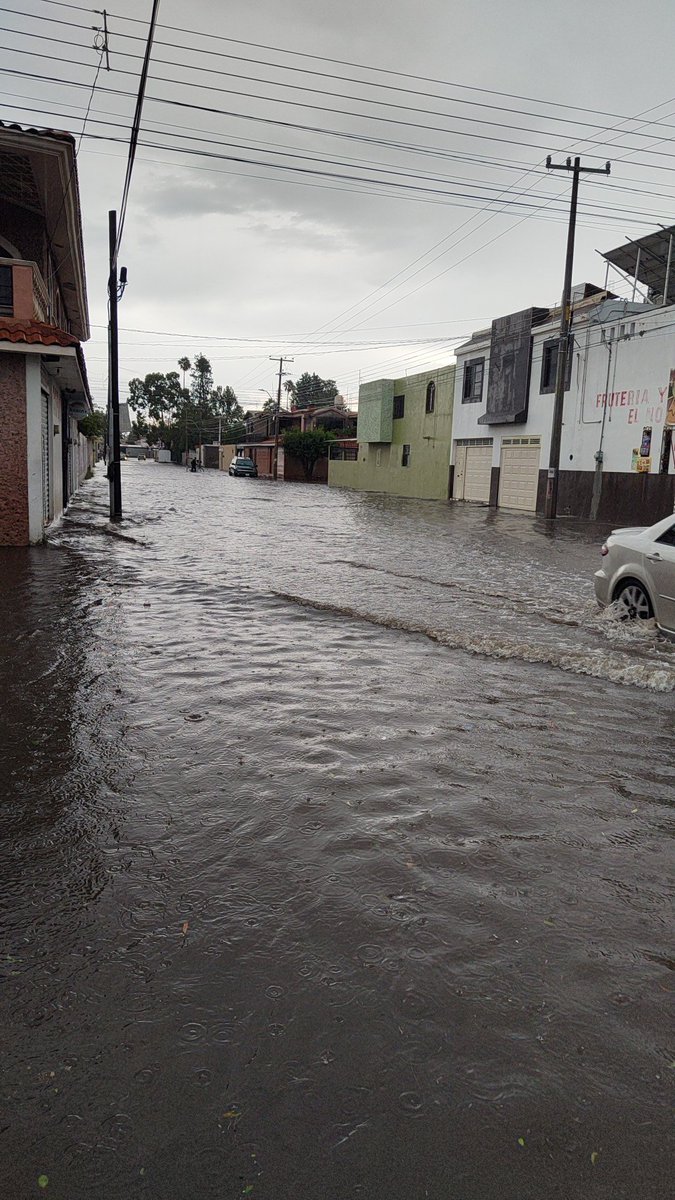 Max Dueñez Ayala tweet media