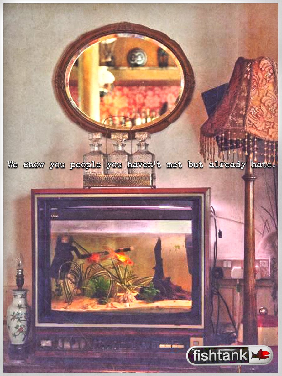 FluffyZeno's tweet image. Why is it always the bottom-tier fish streaming?
It's either dead air or one-bit wonders.
#fishtanklive #fishtankdotlive
