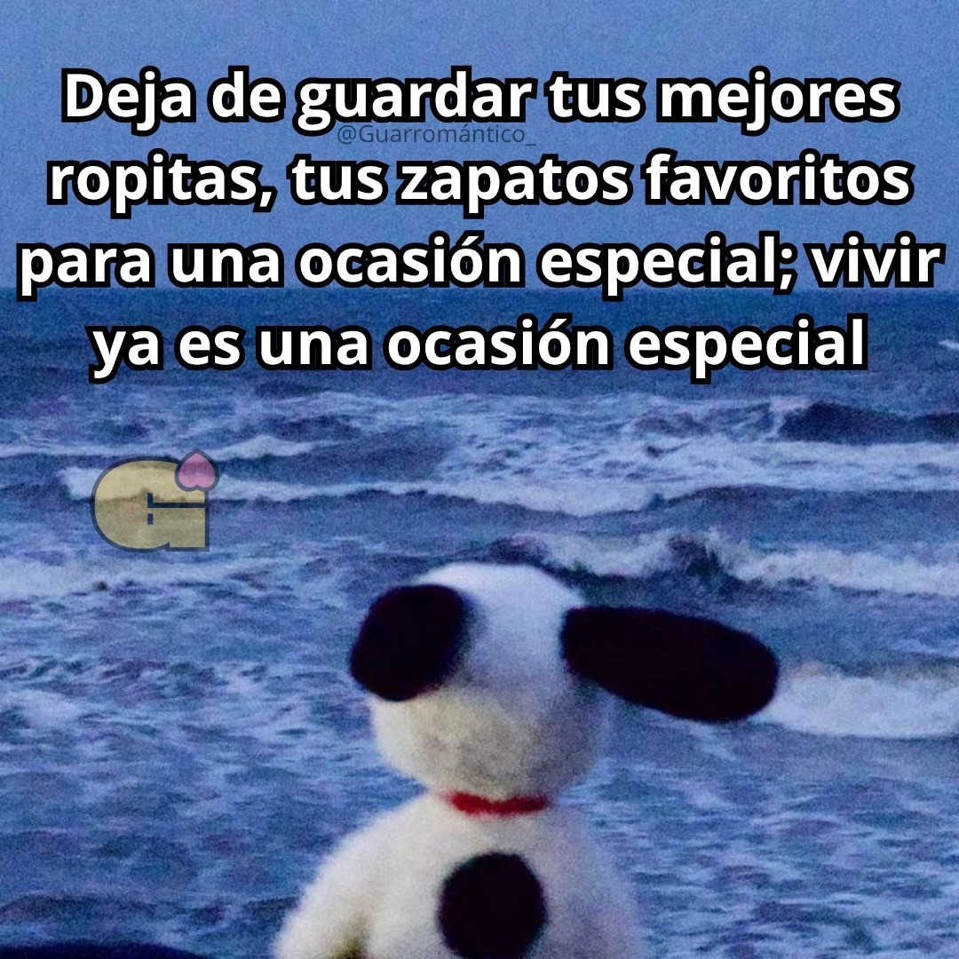 Guarromantico_'s tweet photo. Deja. https://t.co/jUOXAcnyzx