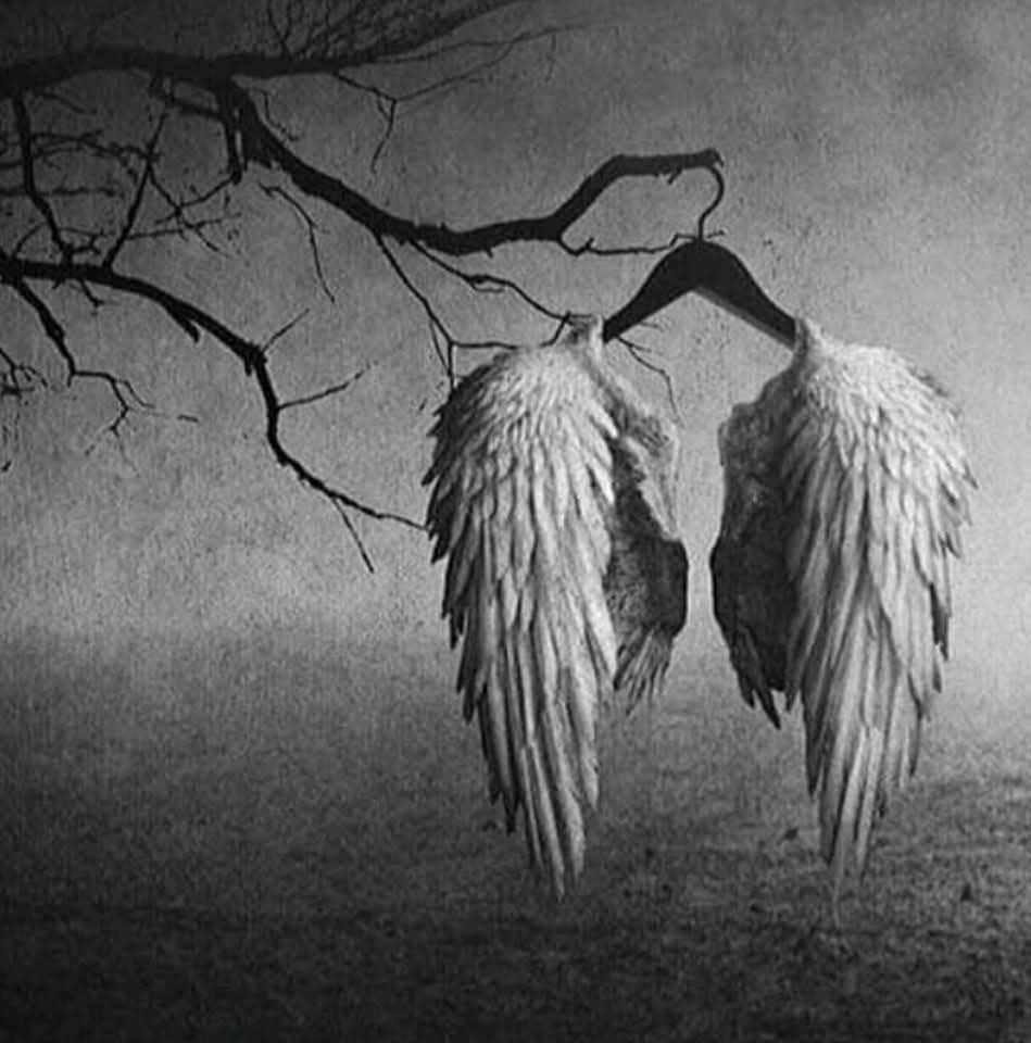 Colgué mis alas, ya que no podía volver a volar.

No tenía ganas, no tenia hambre de aventuras, no tenía predisposición a nada.

Colgué mi alas, por qué tú me las diste, pero no aceptaste que te las devolviera.

Por eso las abandone,en el primer árbol triste y cansado que vi.