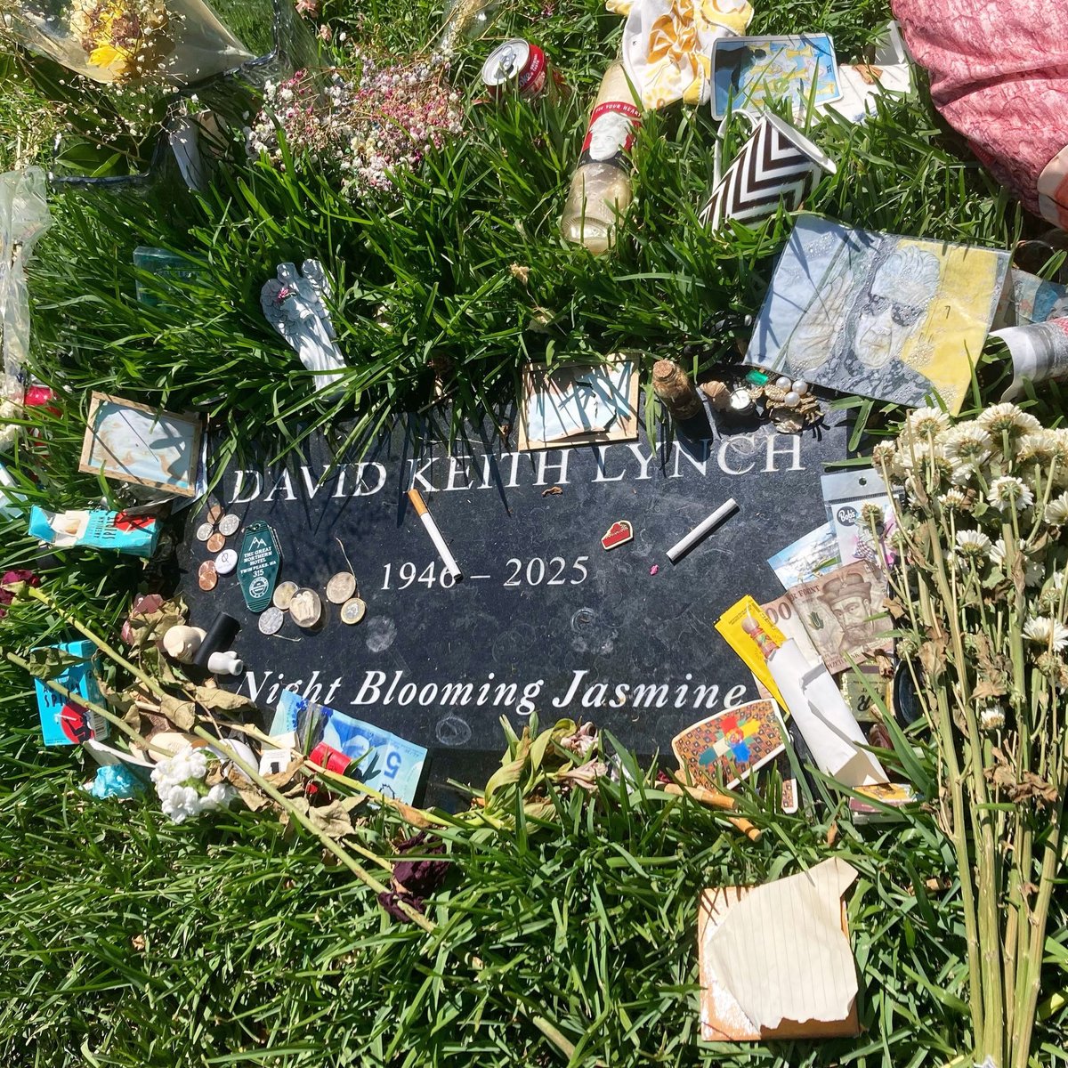 𝖓𝖔𝖓 𝖋𝖎𝖑𝖒𝖘 tweet media