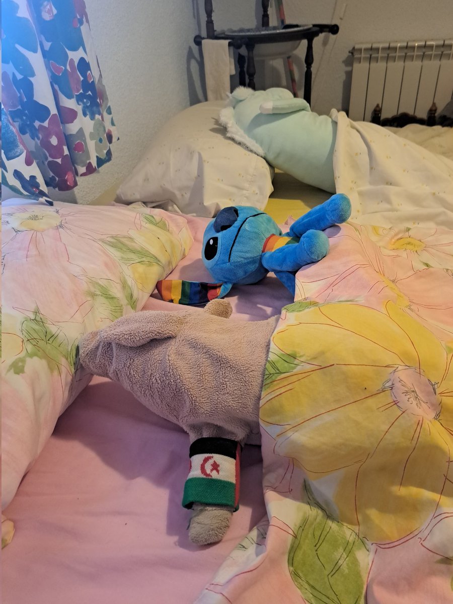 Luis Lloredo Alix tweet media