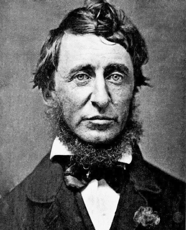 OutlawsPoetic's tweet photo. “You must live in the present, launch yourself on every wave, find your eternity in each moment. Fools stand on their island of opportunities and look toward another land. There is no other land; there is no other life but this.”

Henry David Thoreau
• July 12, 1817 https://t.co/aOLpOajonO
