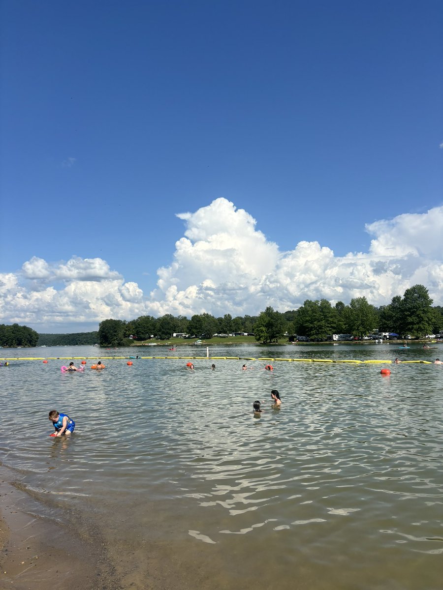 Amelia Knisely tweet media