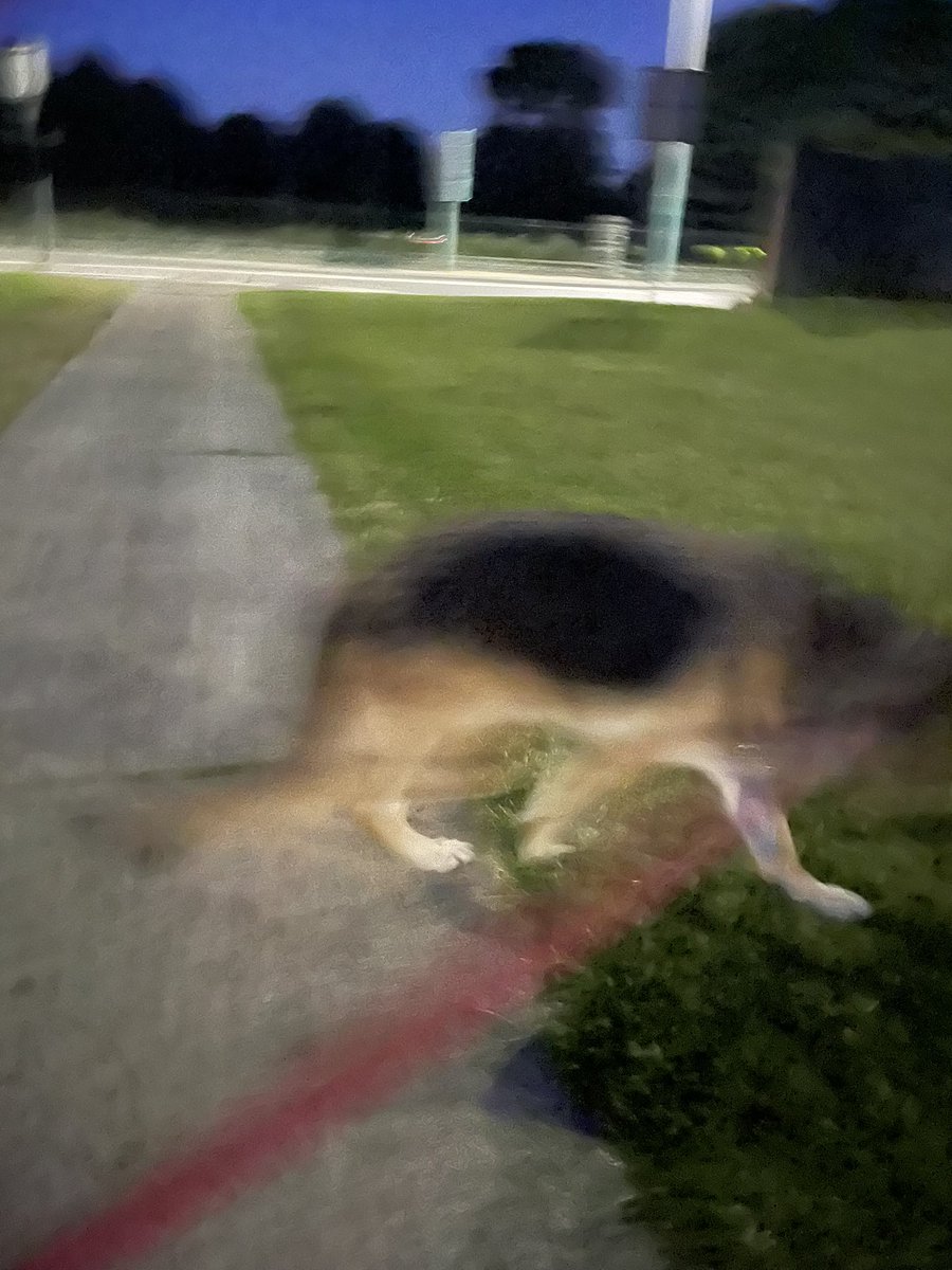 TeenaGates's tweet photo. Tonight we learned that if I go backwards in my wheelchair, we can run!!!!!!  Might need to gets some lights tho! 🫣 #GoogleMax https://t.co/ILW787ZHYs