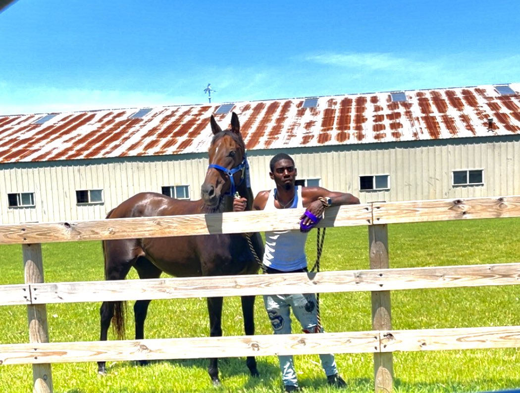 TheXpip3r's tweet photo. Anybody need a horse 🐎 😏 https://t.co/9WZJCrGyEh