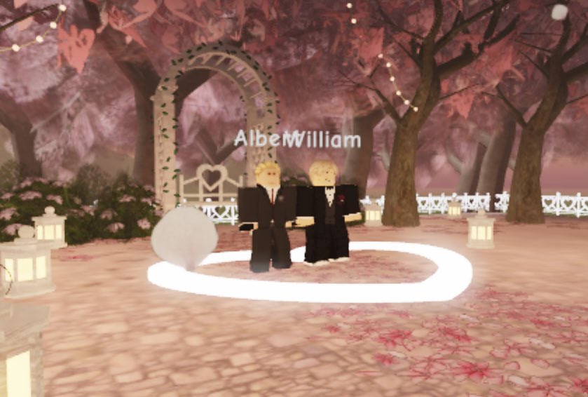 TrustInJill's tweet image. A collection of photography I took at the wedding (amazing wedding Annette and congrats William on the twins!!)