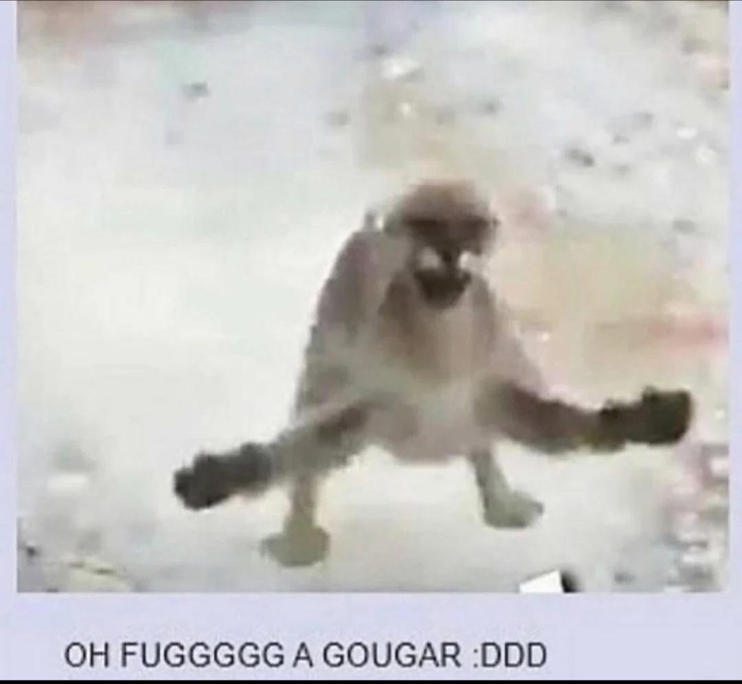 Comfnani's tweet image. 