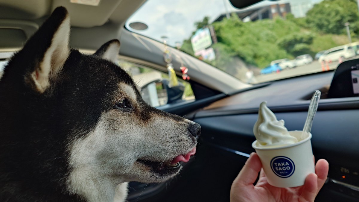 葛藤までの4枚🤣

あっおはよーございます☀