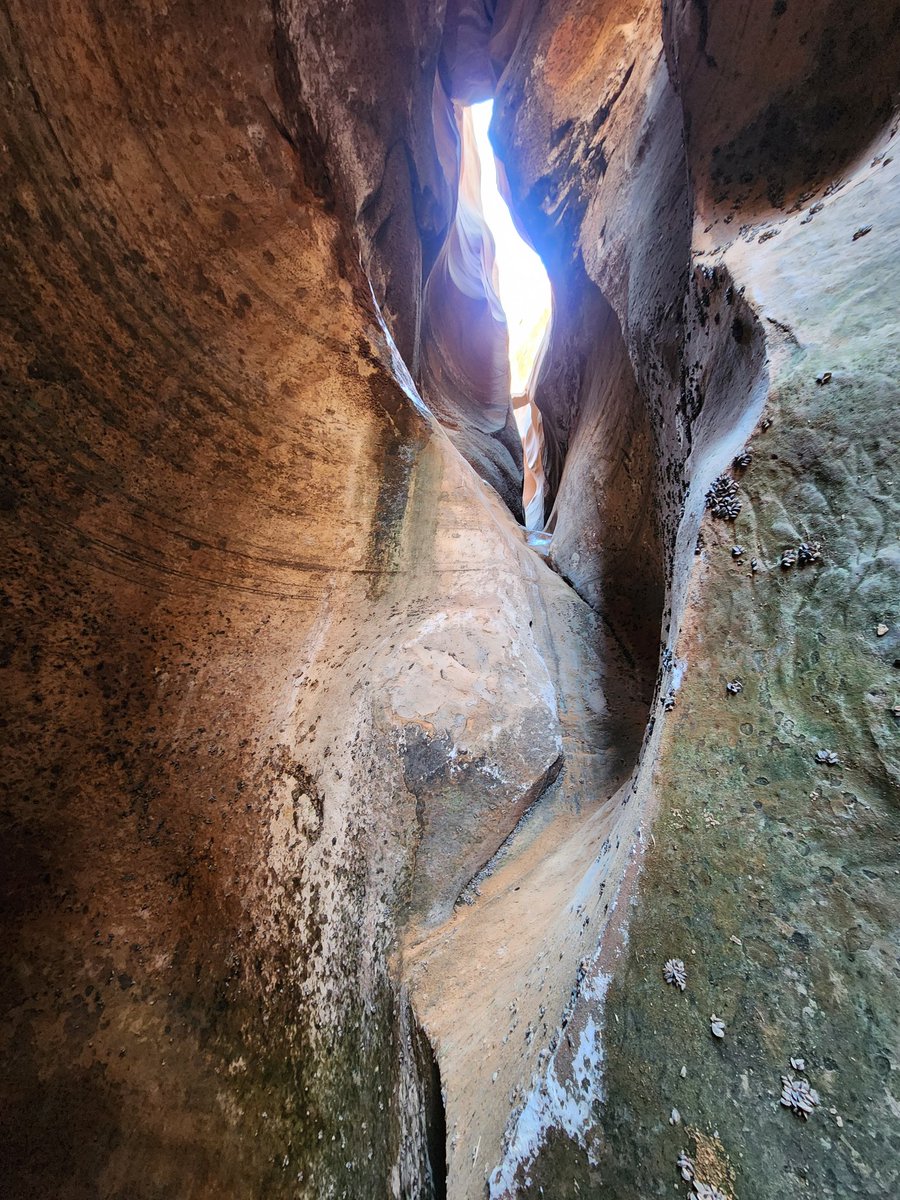 spooledupchick's tweet photo. More awesome scenery at Powell #lakepowell #exploring #rocks #lakelife https://t.co/V2DMUMlY3v