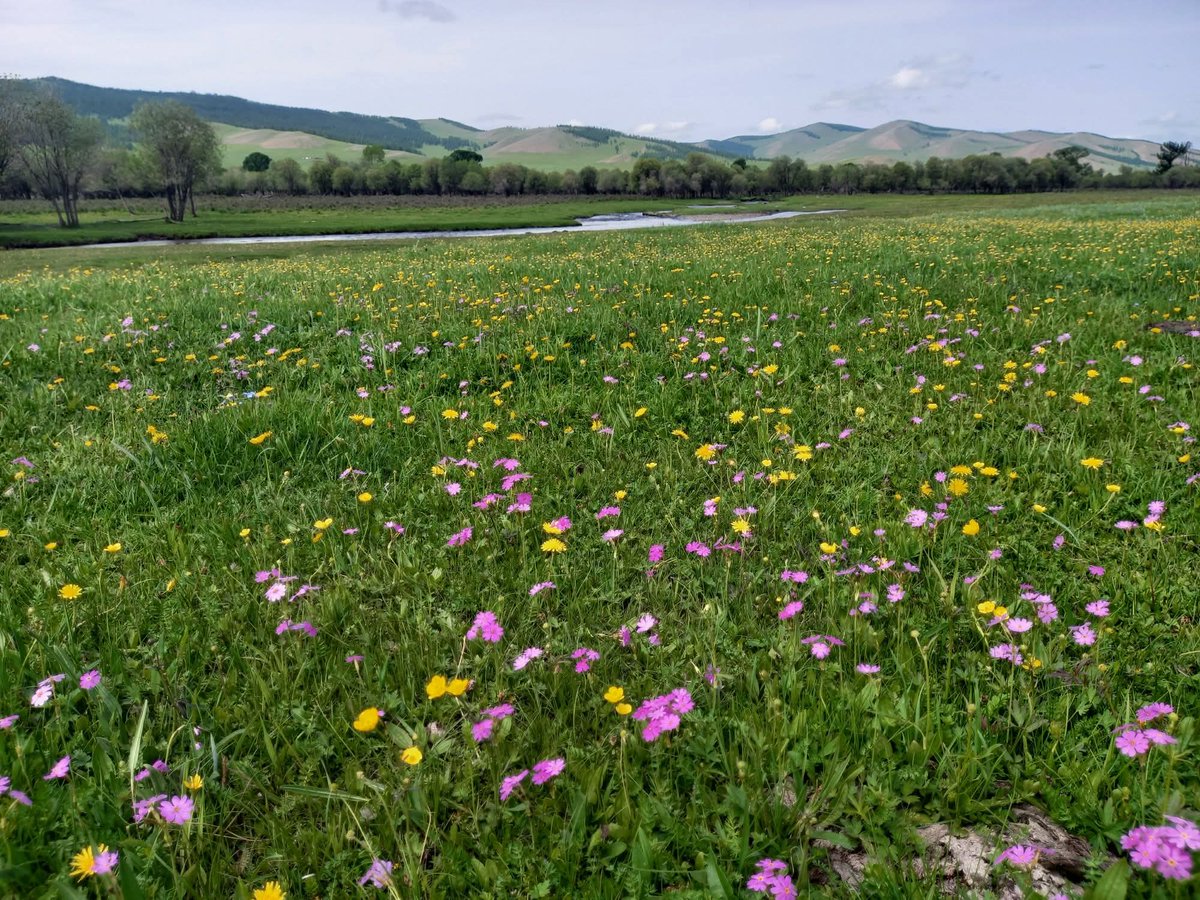 Өглөөний мэнд. Өнөөдрийг жаргалтай сайхан өнгөрүүлээрэй 🥰🥰🥰