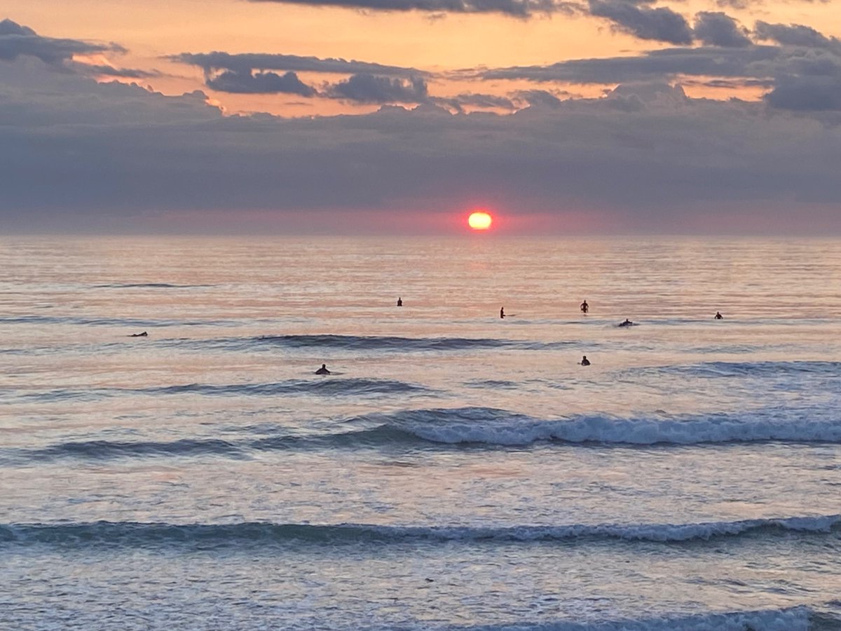 Áine Mitchell tweet media