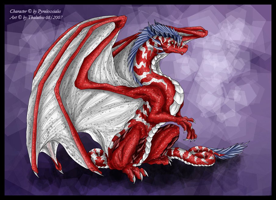 Pattarchus Public tweet media