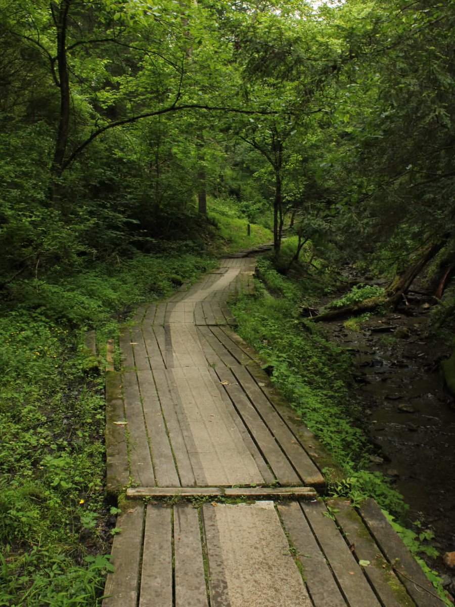 Drop your favorite WV hike in the comments... 👇

📍: Oglebay Park Resort
📸: instagram.com/kevin_13_photos