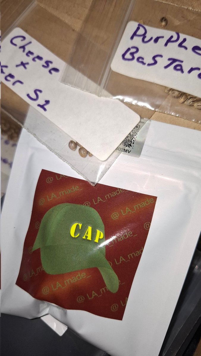 JohnRyker's tweet photo. @Capulator1 Thanks for bringing it to us Cap! I still have my pack of MAC F1 from back then that I'll be playing with one day. https://t.co/hP1IqRzuYo