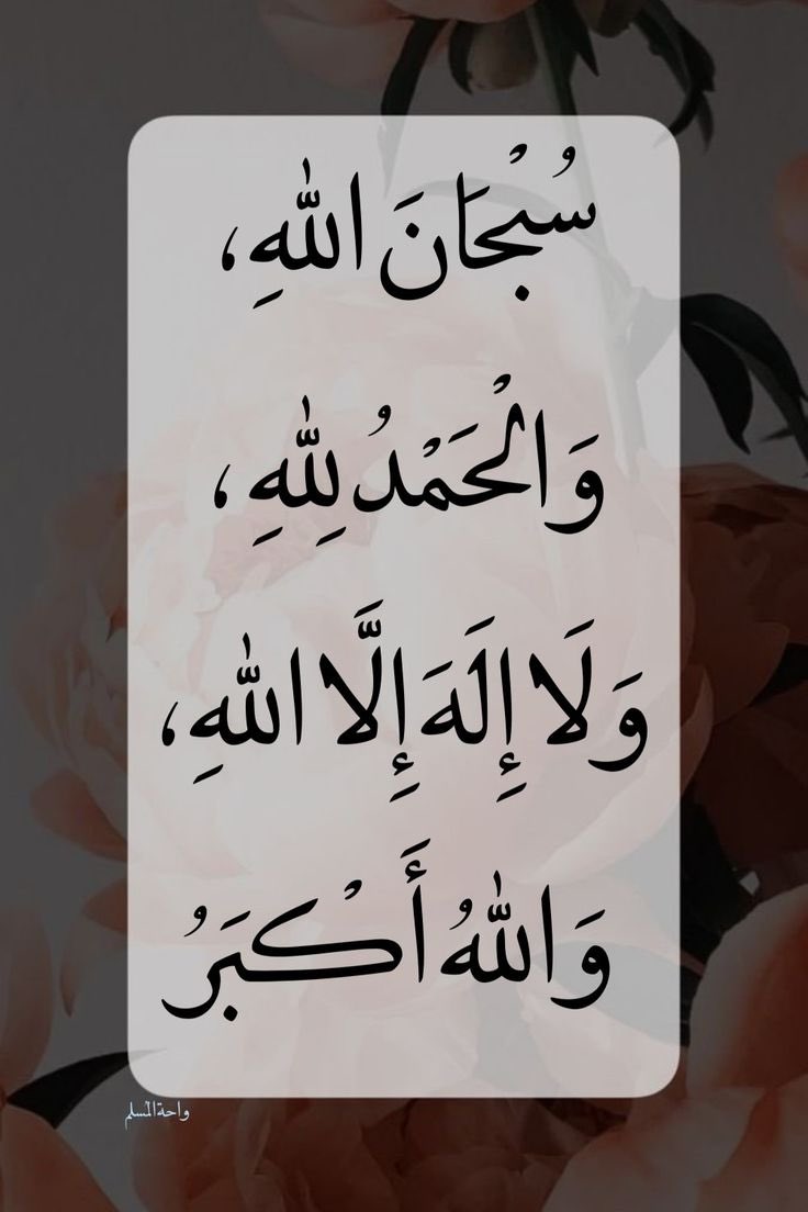 ndoor28's tweet photo. #الاستغفار_رزق_و_تفريج_همك https://t.co/k3jBfDXGa3