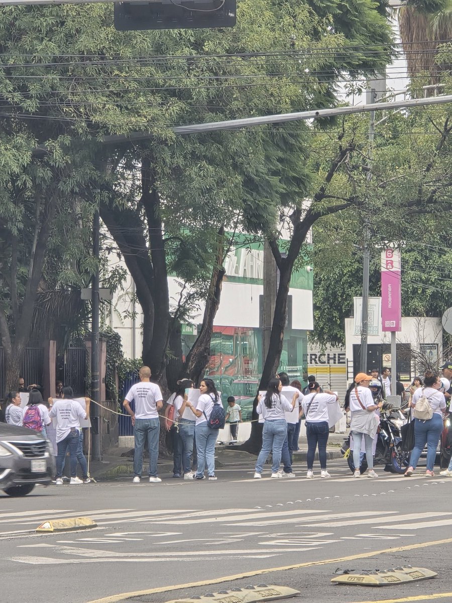 ale_mlicerio's tweet photo. @EOP2022 @luismiguelbaraa En efecto, son unos cuantos https://t.co/XL9Pqpolh0