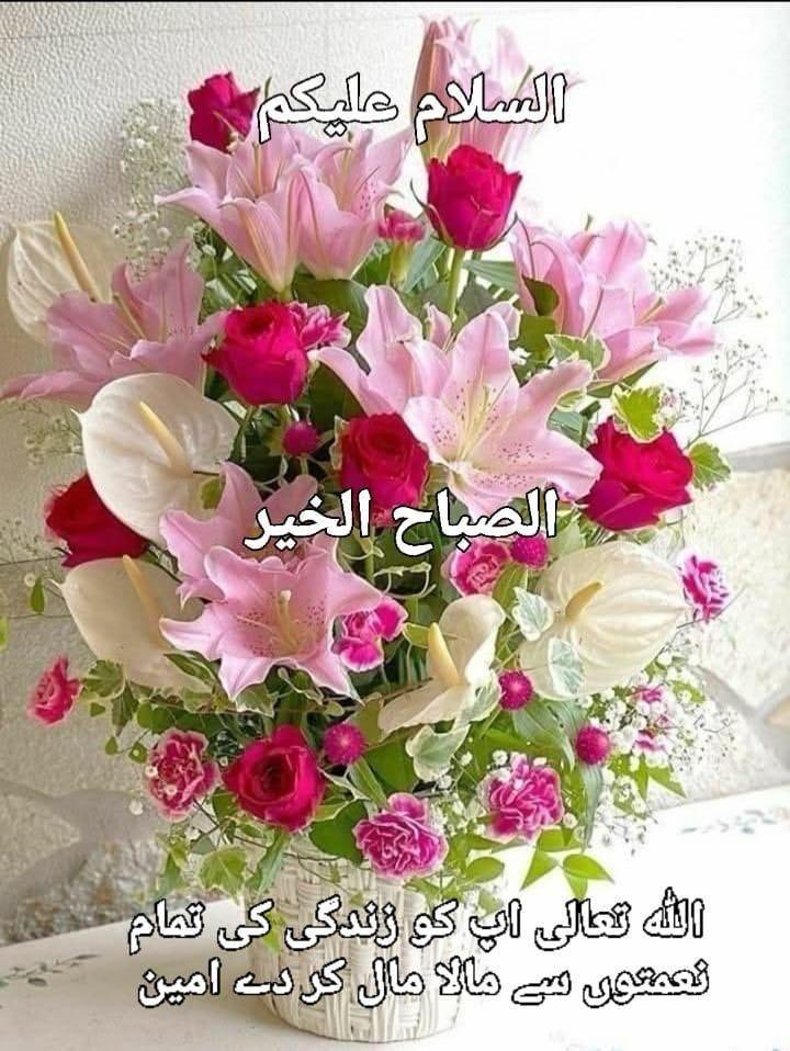 السلام و علیکم 
آج کا انسان اپنے دکھ سے نہیں دوسروں کے سکھ سے 
دکھی ہوتا ہے پر خلوص دعاوں اور خوشیوں کے لازوال
خزانوں کے ساتھ  صبح بخیر
