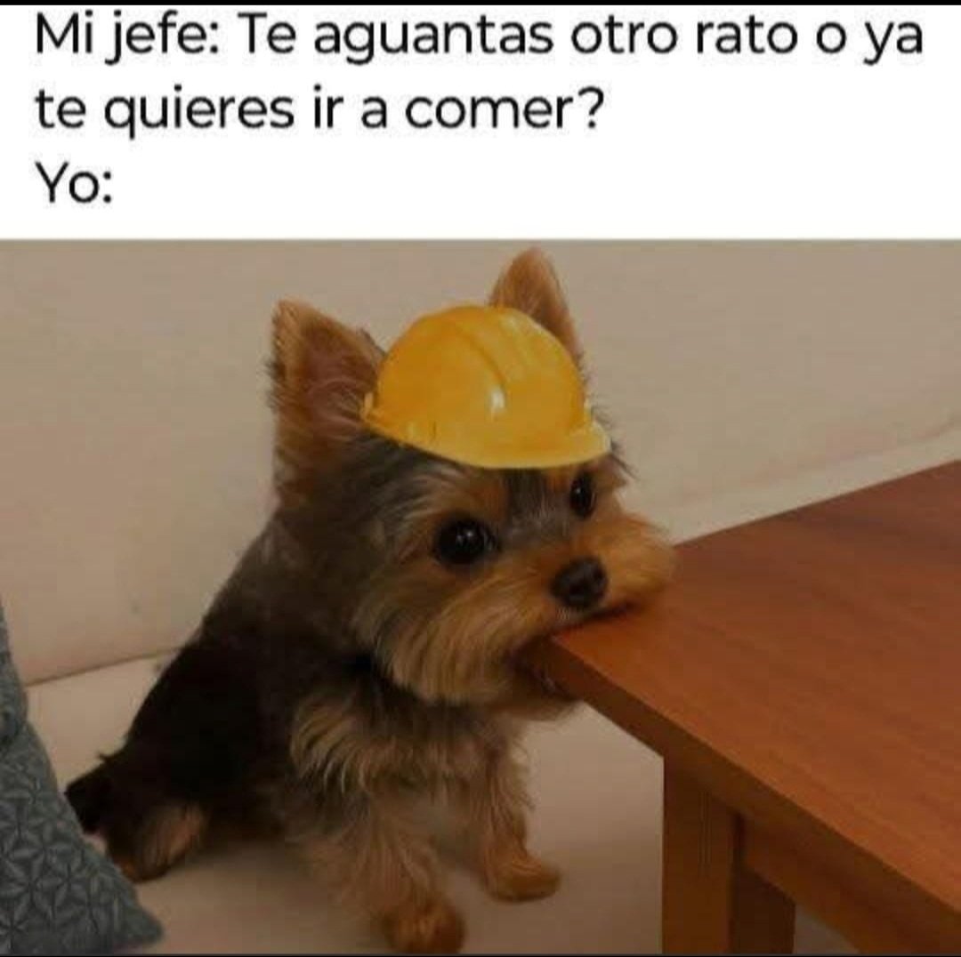 Sabueson (@sabueson) on Twitter photo 