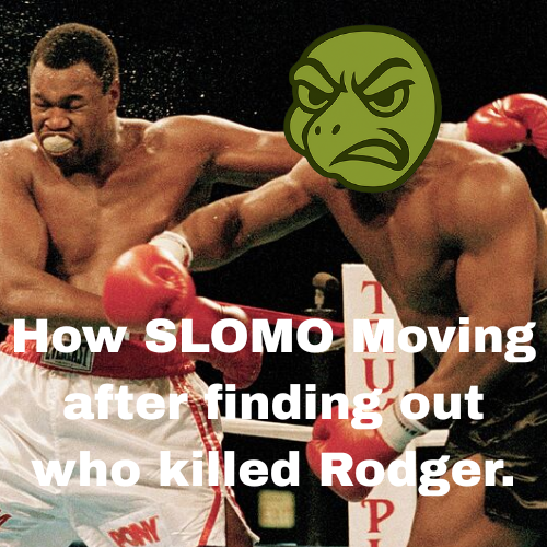 SLOMOTheTurtle's tweet image. #SLOMO #TurtleToken #rodger #MikeTyson #meme #trending #Crypto #memecoin100x