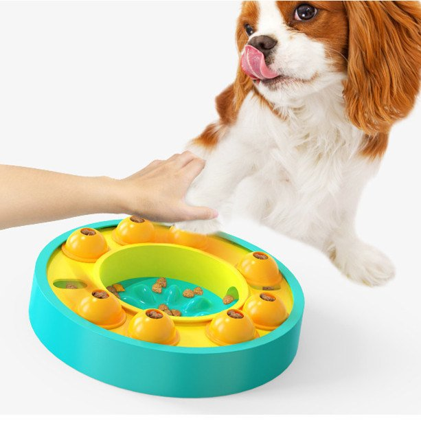 Barkstreets's tweet image. Dog Puzzle Toys Slow Feeder Food Dispenser Slowly Eating Training Game

barkstreets.com/dog-puzzle-toy…

#dogpuzzletoy #dogtoys #canineenrichment #dogmentalstimulation #smartdogtoys #dogboredombusters #interactivepettoys #puppyplaytime #dogtoyfun #petbraingames