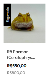 Esse sapinho nos Estados Unidos custa 25 dólares. O mesmo sapinho no Brasil custa 550 reais. E criar o sapinho lá é muito mais difícil do que aqui porque ele é nativo da América do Sul.