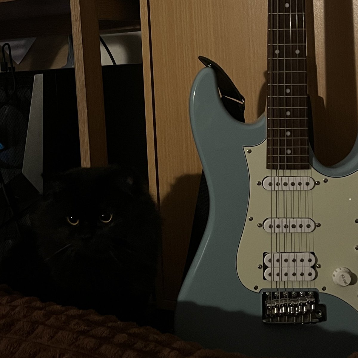 ditomatoz's tweet photo. Got the music in you, baby, tell me why🪺🐈‍⬛ https://t.co/0EJZ8MqQow