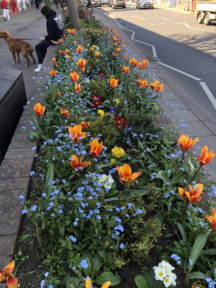 Your Councillor Community Fund is now open!

Last year, the Walton Road Planters Community Group got £500 from their local councillor to improve Walton Road. The new plants &amp; shrubs look amazing!

Could your make a difference in your area? Find out more: orlo.uk/LP3OS