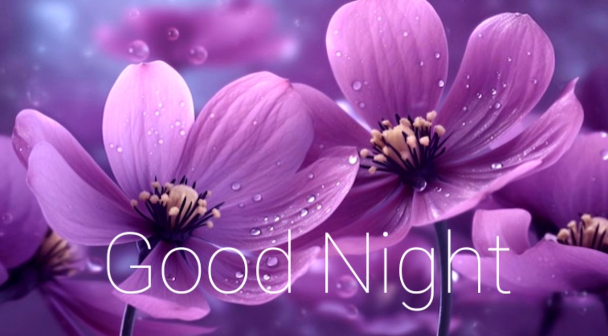 Tranquility and blessings! 

- After renewing your 'concepts', everything will surely blossom! Sleep well! Sweet dreams! - 

Author: Lu Andrade