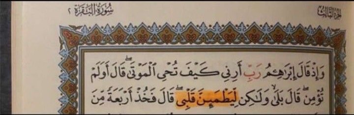 "اللَّهم الطمأنينة والرِضـا التـام واليقين الدّائِم"🤍