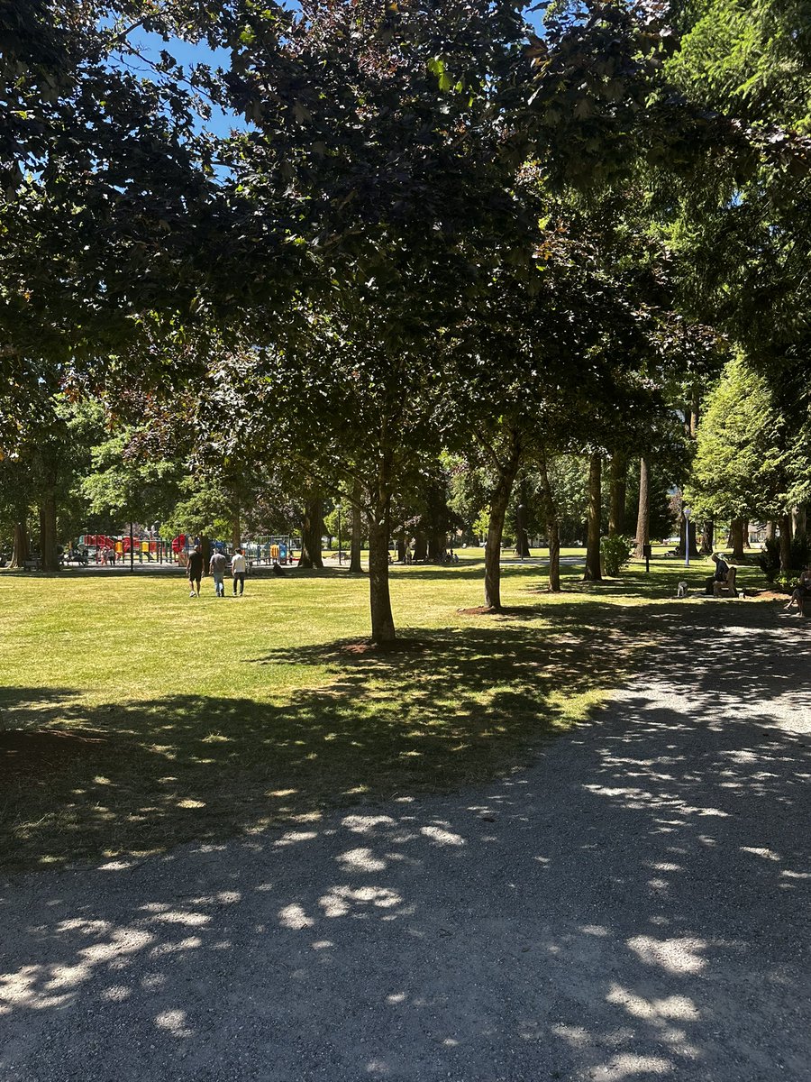 paul_siddaway's tweet image. Shadows in the park