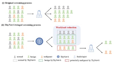 Radiology_AI's tweet photo. ThyNet-S model detects &amp; classifies #thyroid lesions on #ultrasound https://t.co/mE0ktLxB8H  #ThyroidCancer #OncoRad #AI https://t.co/lExZQme4Lx