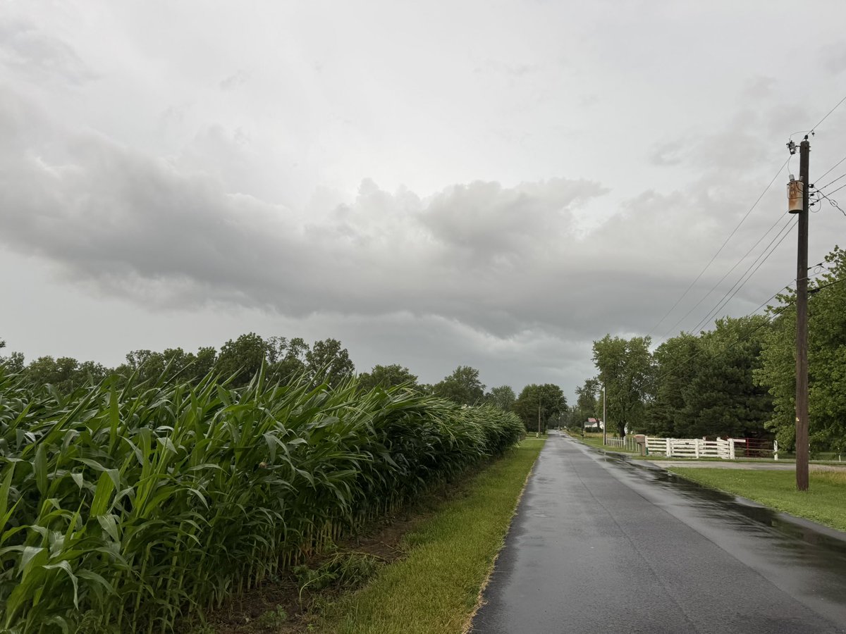 <a href="/SeanAshWX/">Sean Ash</a> just under 2” of rain in about 45 minutes on the southwest side of Anderson near Lapel. Strong winds bent the cornfield across the road from us. This field was about 9-10’ tall. Hopefully it will recover.