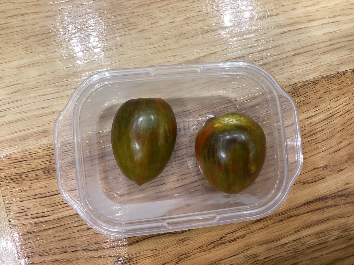 昨日の弁当にゴッホが書いたみたいなトマト入ってた
めっちゃ甘かった