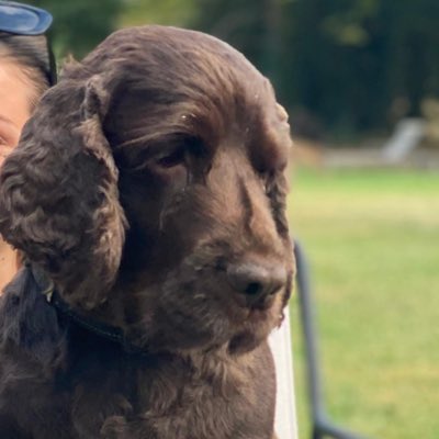 JosephGradel's tweet photo. #NouvellePhotoDeProfil https://t.co/BMWlxJo9cL