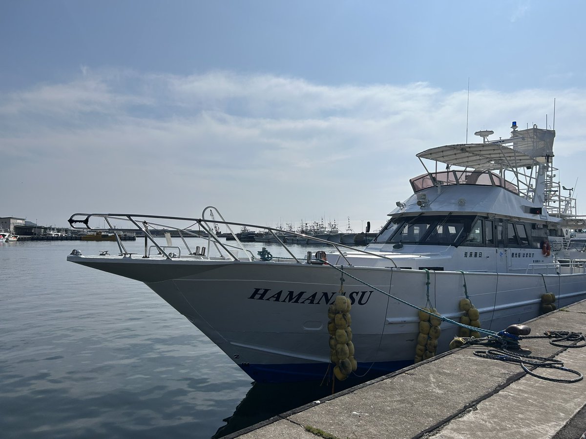 JunIsafushi24's tweet image. おはようございます!!!!
1番チャンスのあると思ってた昨日の欠航で心が折れかけてましたが、、!
まさかの!!
待ってて羅臼の生き物たち!