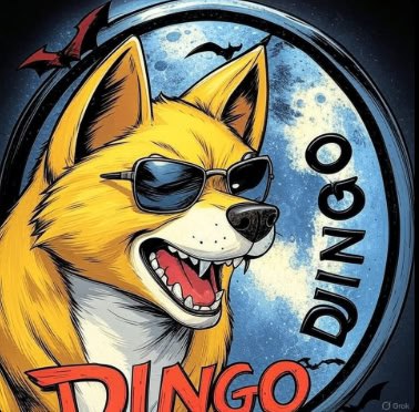 Dingocoiner's tweet image. I asked Grok to draw me.