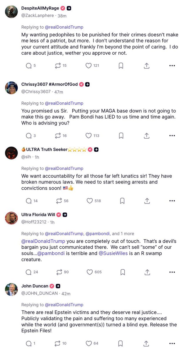 Maile tweet media