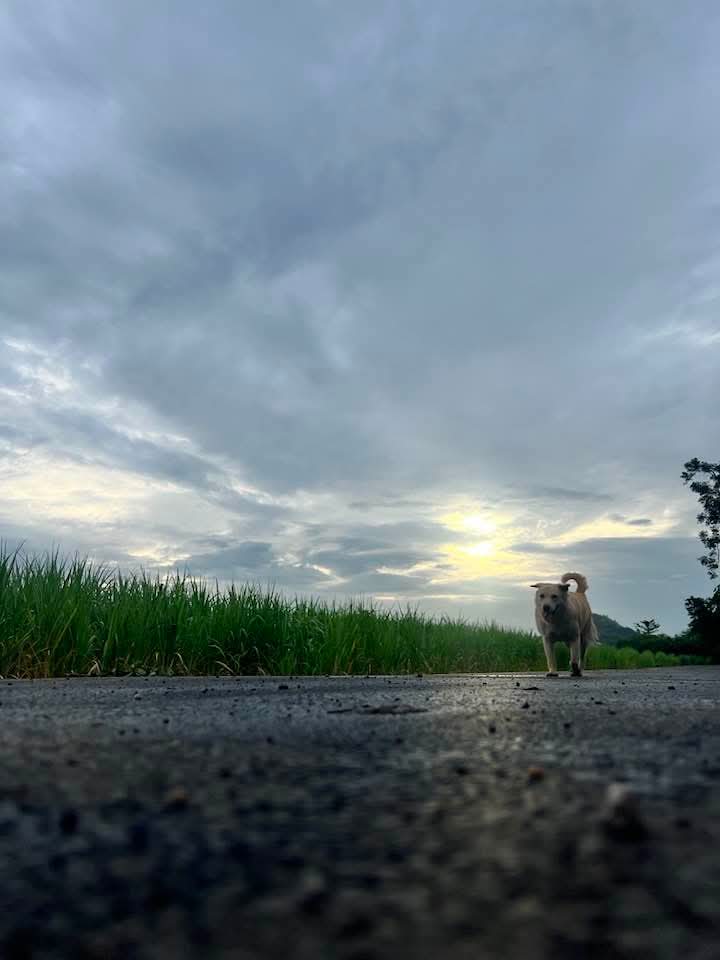 JanthalertJulai's tweet image. Happiness is what exists now.♥️♥️