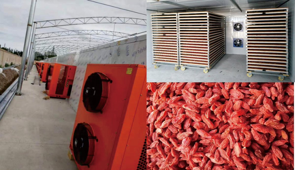 HeatPumpChen's tweet image. 1000kg Wolfberry heat pump dryer has good drying quality, does not require manual supervision, and is intelligently controlled. Heat pump drying saves 75% more energy than boiler drying.