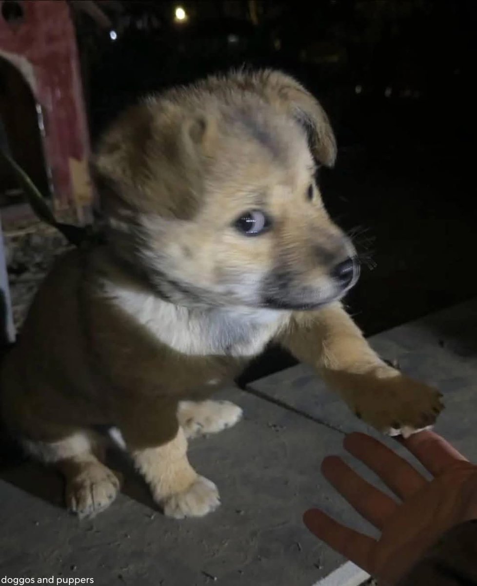 twaniimals's tweet photo. https://t.co/5LWcmSMj9X